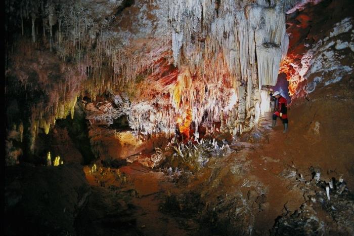 La Cueva del 